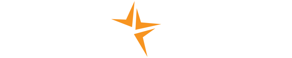 NEWSTARGROUP-logo
